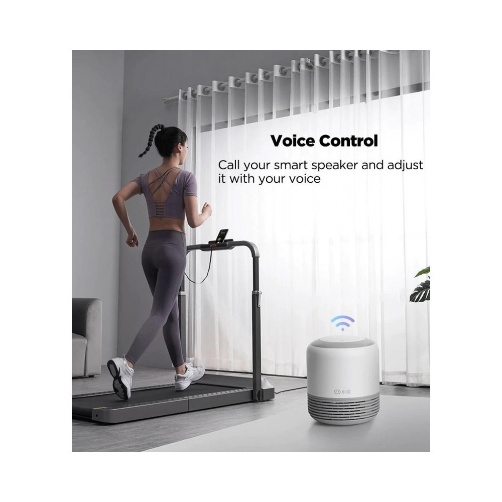 Kingsmith WalkingPad R2 sulankstomas bėgimo takelis