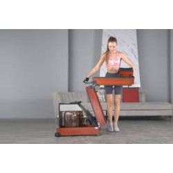 Kingsmith WalkingPad WR1 Sulankstomas irklavimo treniruoklis