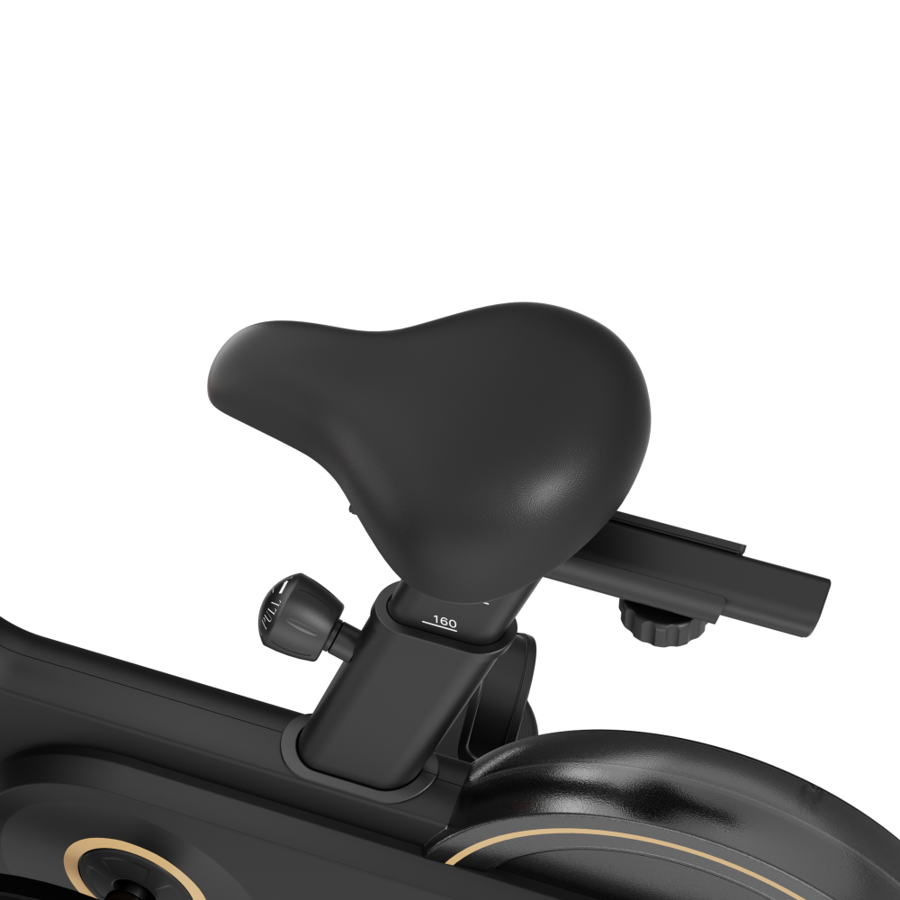 Kingsmith WalkingPad Spinning bike PB08S - Black