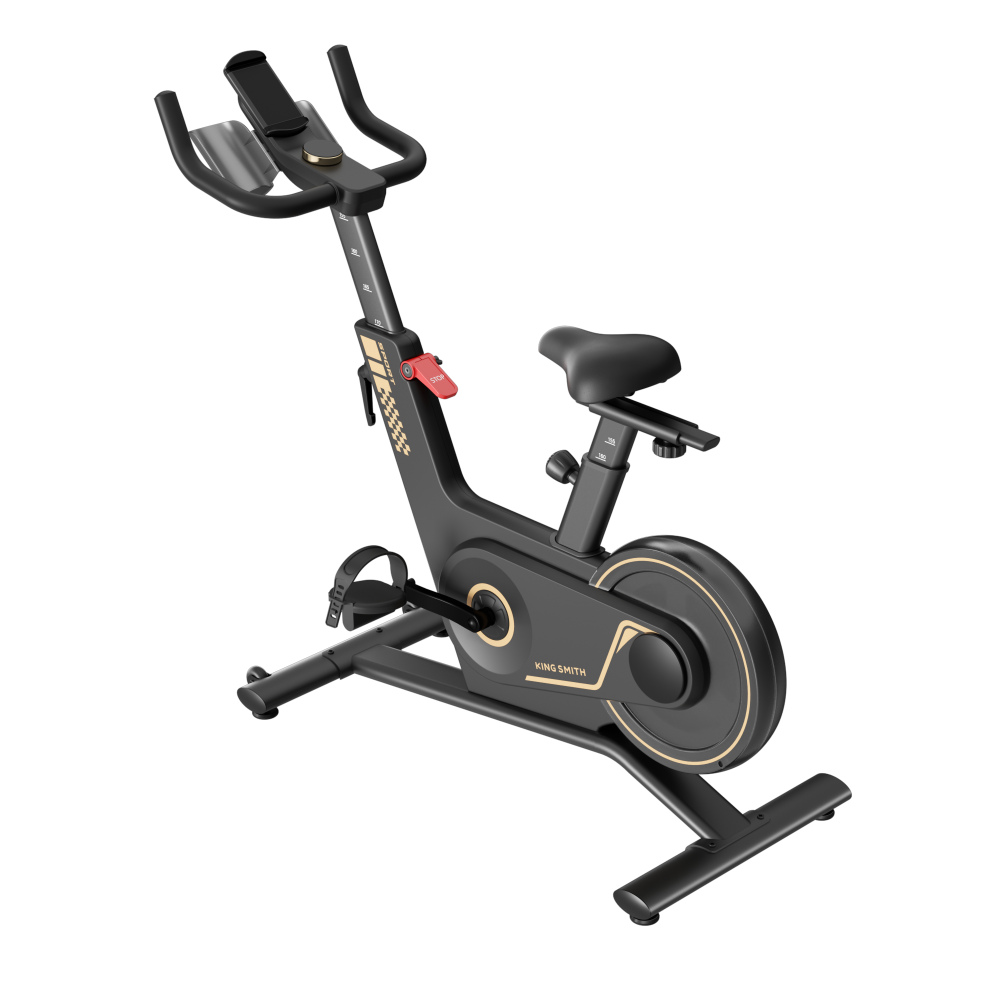 Kingsmith WalkingPad Spinning bike PB08S - Black