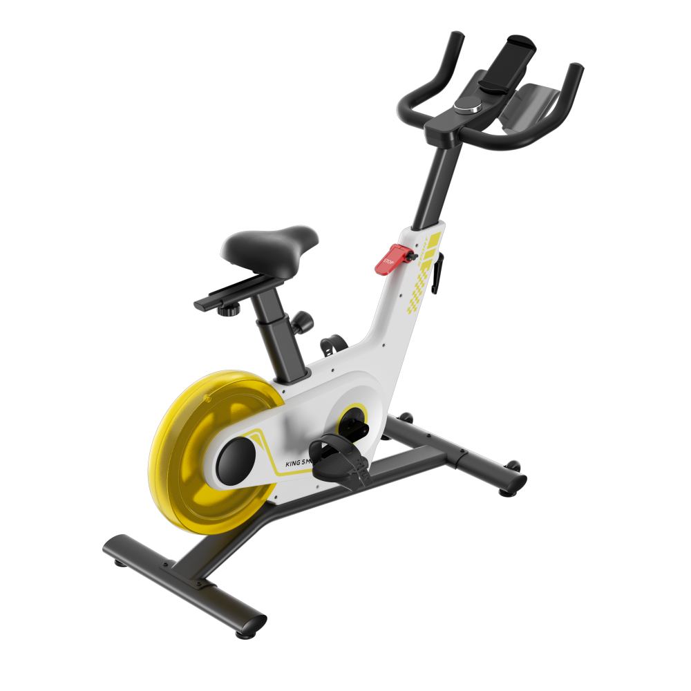 Kingsmith WalkingPad Spinning bike PB08S - White