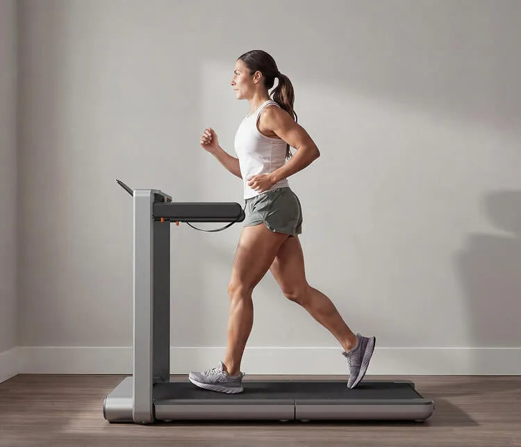 Vertical Fold Treadmills